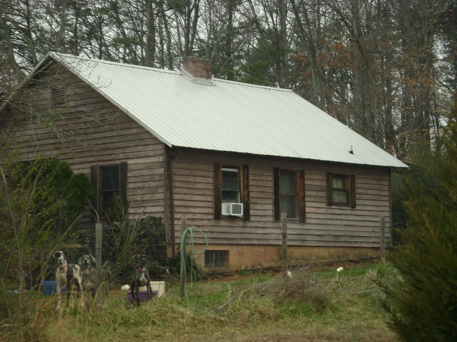 White metal roof on an old wood sided farmhouse, from a Asphalt Shingle Roof Repair job in East Leroy